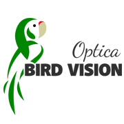 Logo Bird Vision