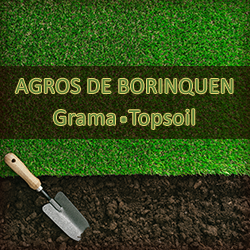 Logo Agros de Borinquen