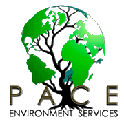 P A C E Enviroment Services