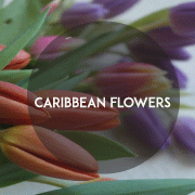 Logo Caribbean Flowers