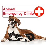 Animal Emergency Clinic