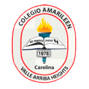 Colegio Amarileen