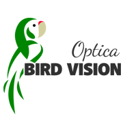 Bird Vision