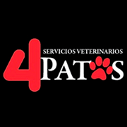 Servicios Veterinarios 4 Patas