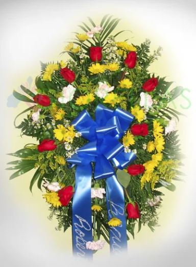 Imagen