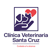 Clínica Veterinaria Santa Cruz