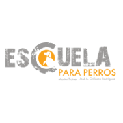 Escuela Para Perros